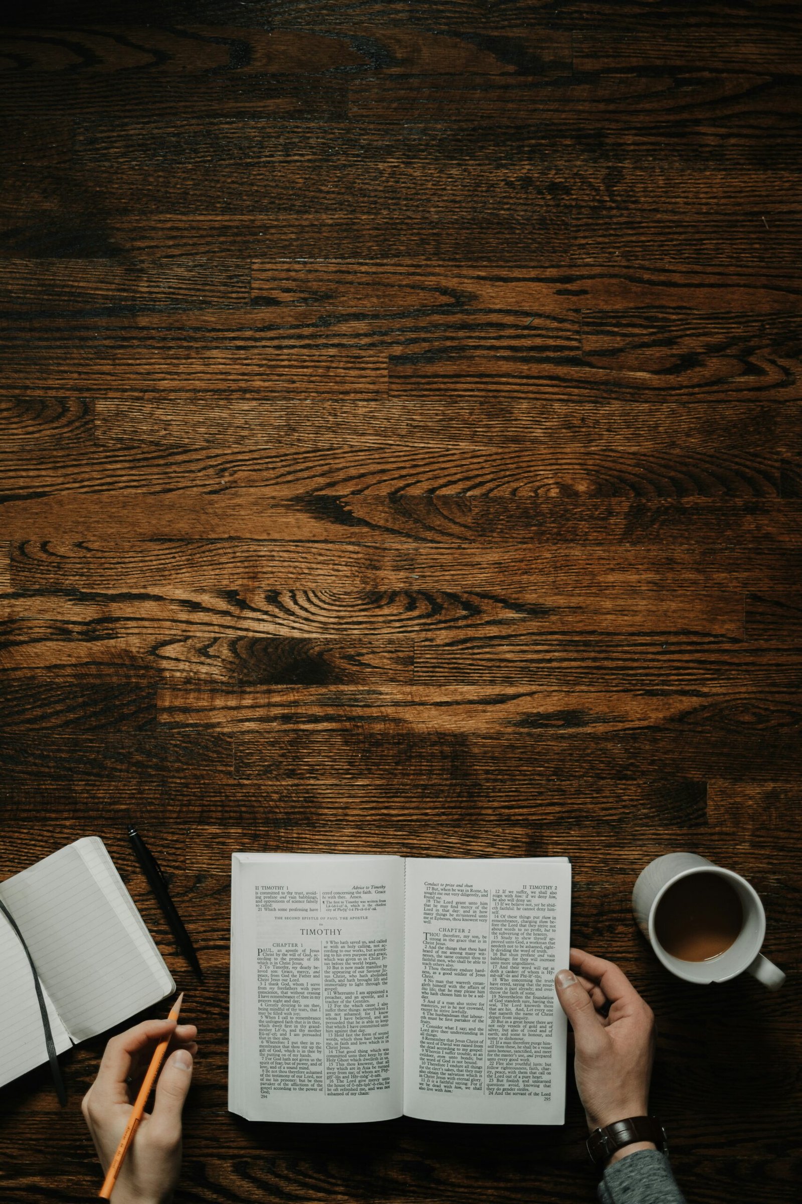 Understanding Genesis: The Foundations of Christian Faith and Our Born-Again Journey